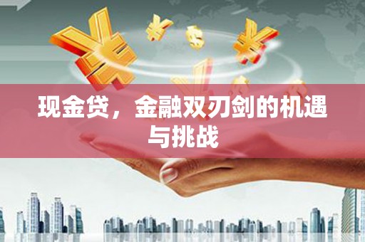 马边现金贷，金融双刃剑的机遇与挑战