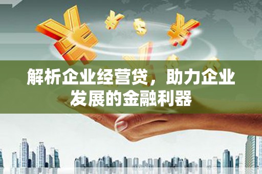 马边解析企业经营贷，助力企业发展的金融利器