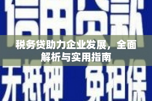 马边税务贷助力企业发展，全面解析与实用指南