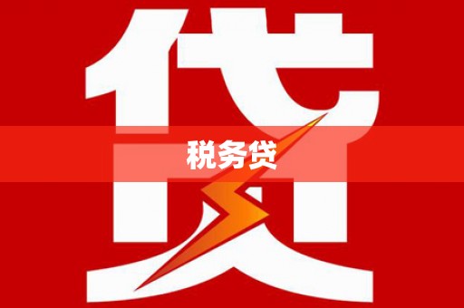 马边税务贷