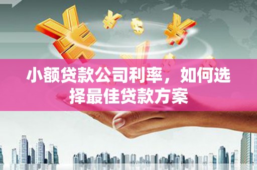 马边小额贷款公司利率，如何选择最佳贷款方案
