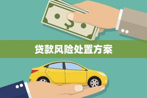 马边贷款风险处置方案