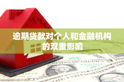 马边逾期贷款对个人和金融机构的双重影响