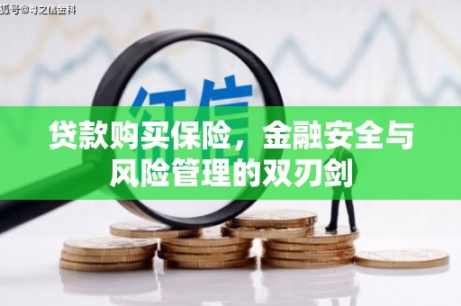 马边贷款购买保险，金融安全与风险管理的双刃剑