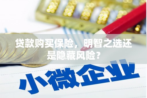马边贷款购买保险，明智之选还是隐藏风险？