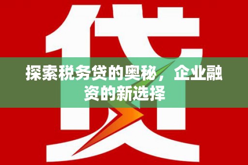 马边探索税务贷的奥秘，企业融资的新选择