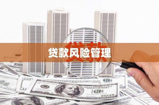 马边贷款风险管理