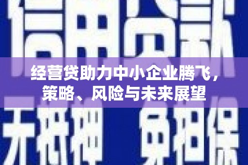 马边经营贷助力中小企业腾飞，策略、风险与未来展望