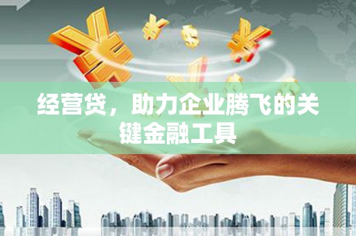 马边经营贷，助力企业腾飞的关键金融工具