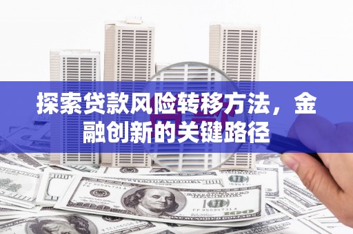 马边探索贷款风险转移方法，金融创新的关键路径
