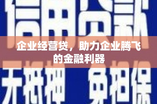 马边企业经营贷，助力企业腾飞的金融利器
