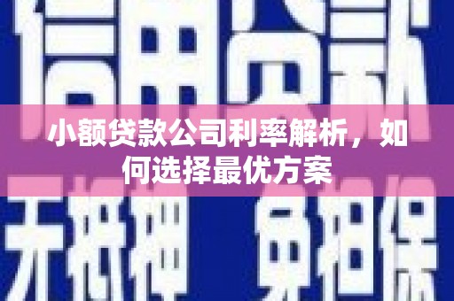 马边小额贷款公司利率解析，如何选择最优方案