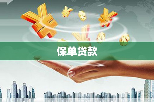 马边保单贷款