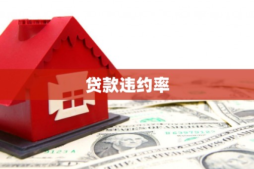马边贷款违约率