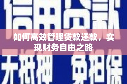 马边如何高效管理贷款还款，实现财务自由之路