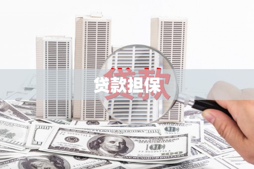 马边贷款担保
