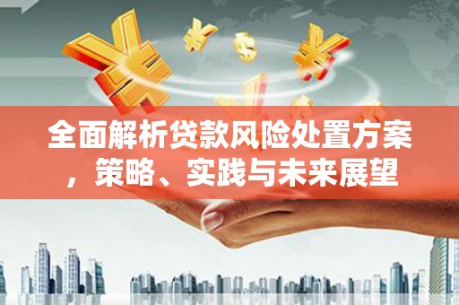 马边全面解析贷款风险处置方案，策略、实践与未来展望