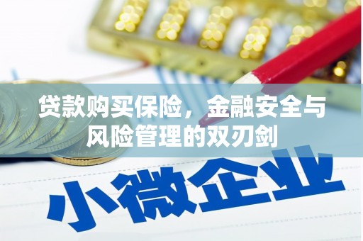 马边贷款购买保险，金融安全与风险管理的双刃剑