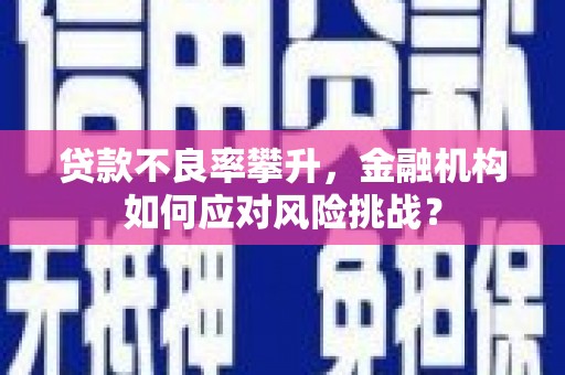马边贷款不良率攀升，金融机构如何应对风险挑战？