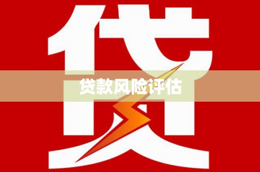 马边贷款风险评估