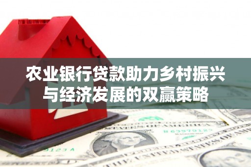 马边农业银行贷款助力乡村振兴与经济发展的双赢策略