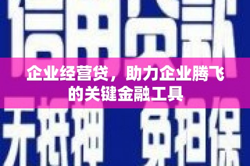 马边企业经营贷，助力企业腾飞的关键金融工具