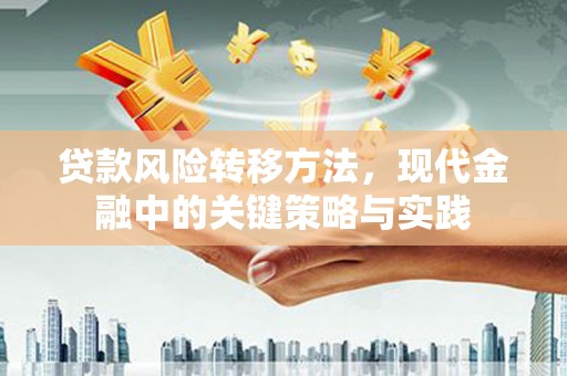马边贷款风险转移方法，现代金融中的关键策略与实践