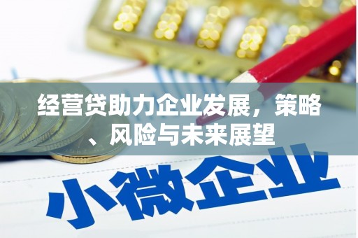 马边经营贷助力企业发展，策略、风险与未来展望