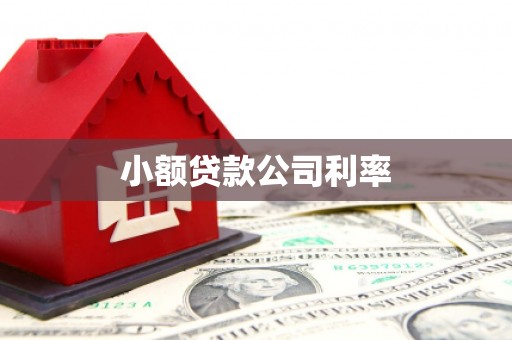 马边小额贷款公司利率