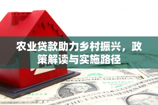 马边农业贷款助力乡村振兴，政策解读与实施路径