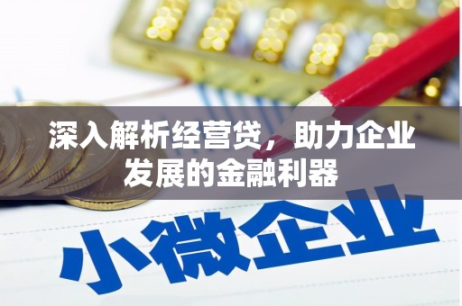 马边深入解析经营贷，助力企业发展的金融利器