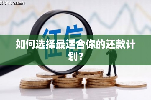 马边如何选择最适合你的还款计划？