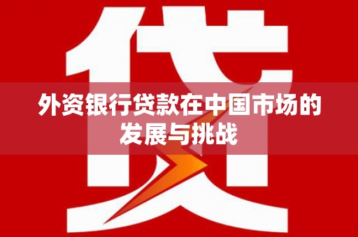 马边外资银行贷款在中国市场的发展与挑战