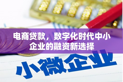 马边电商贷款，数字化时代中小企业的融资新选择