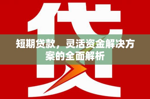 马边短期贷款，灵活资金解决方案的全面解析