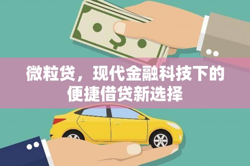 马边微粒贷，现代金融科技下的便捷借贷新选择