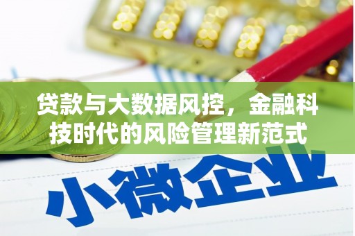 马边贷款与大数据风控，金融科技时代的风险管理新范式
