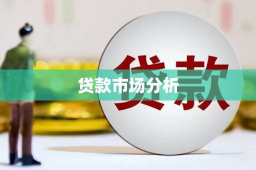 马边贷款市场分析