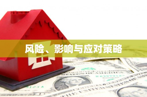 马边风险、影响与应对策略