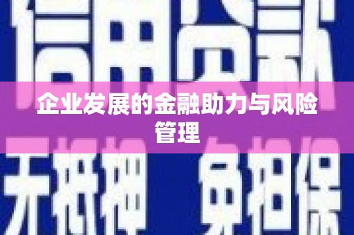 马边企业发展的金融助力与风险管理