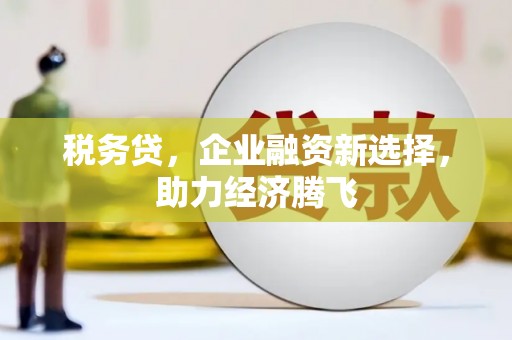 马边税务贷，企业融资新选择，助力经济腾飞