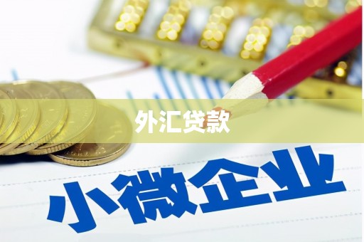 马边外汇贷款