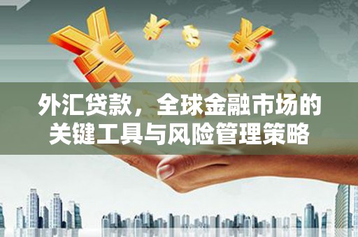 马边外汇贷款，全球金融市场的关键工具与风险管理策略