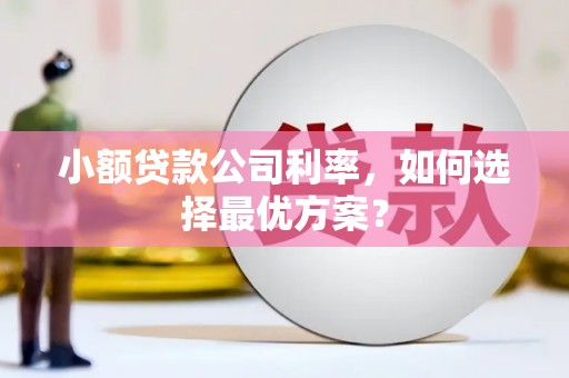 马边小额贷款公司利率，如何选择最优方案？