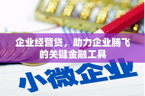 马边企业经营贷，助力企业腾飞的关键金融工具
