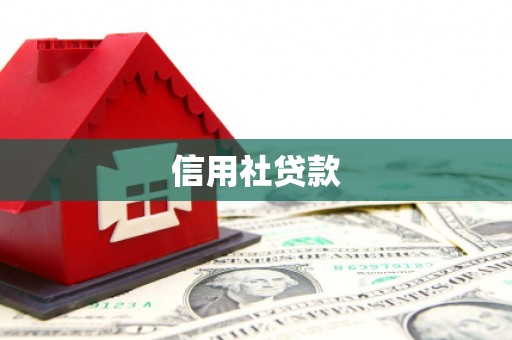马边信用社贷款