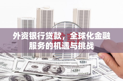 马边外资银行贷款，全球化金融服务的机遇与挑战