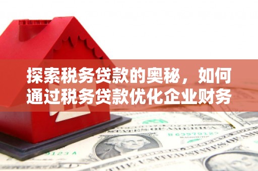 马边探索税务贷款的奥秘，如何通过税务贷款优化企业财务