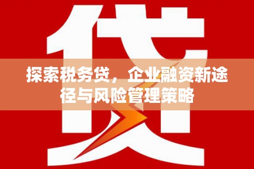 马边探索税务贷，企业融资新途径与风险管理策略