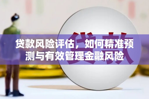 马边贷款风险评估，如何精准预测与有效管理金融风险